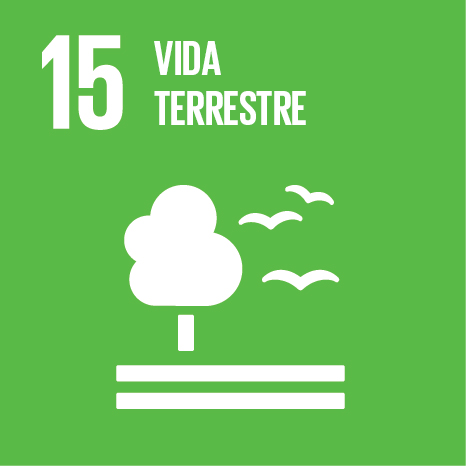 VIDA TERRESTRE